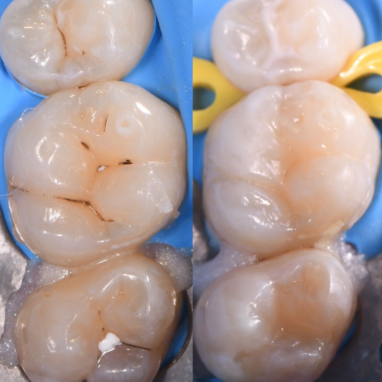 Ricardo López Lemus-56