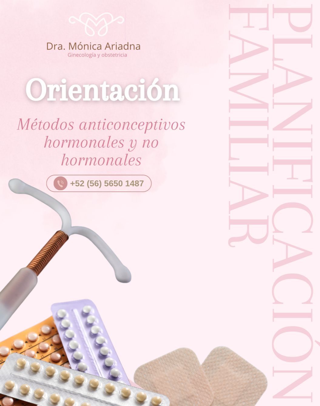 Mónica Ariadna Flores Alvarez-2