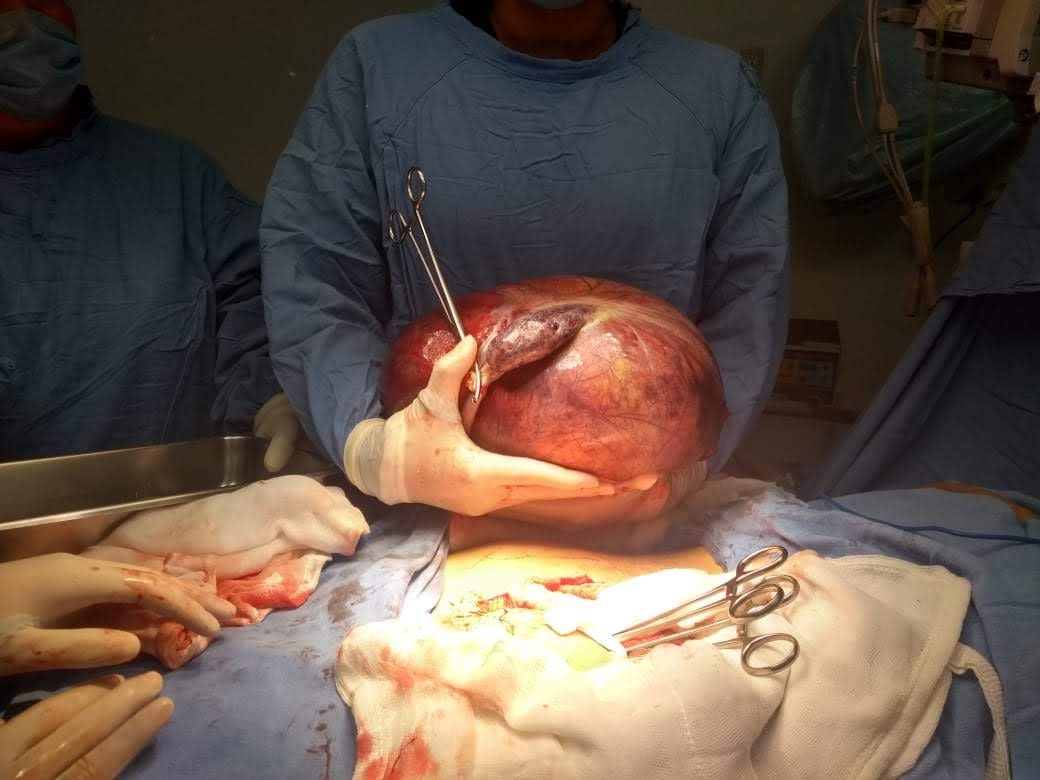 Marisol I. Alvarez Carrasco-20