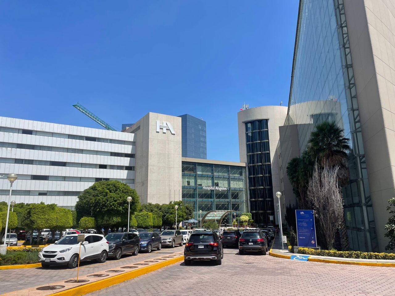 Beatriz Guzmán Cisneros-5