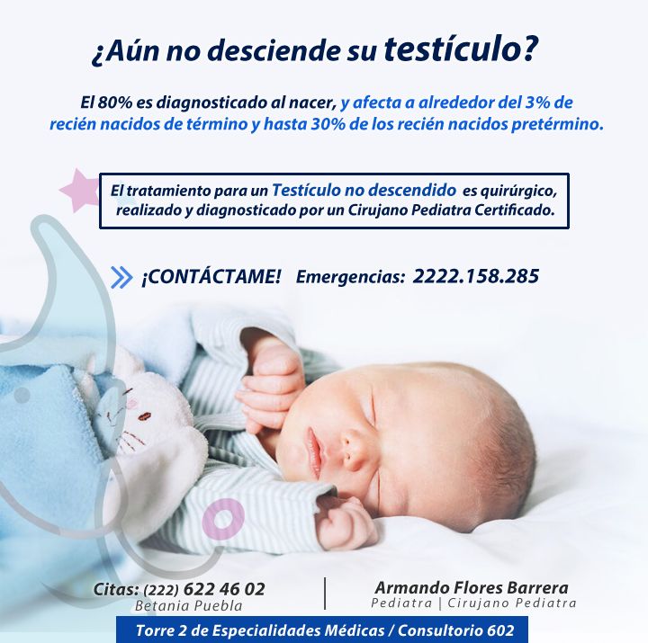 Armando Flores Barrera-9