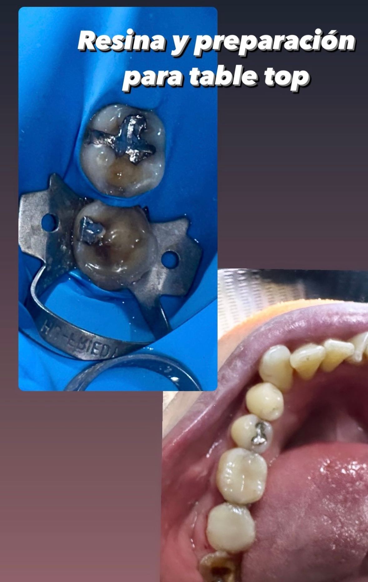 Fernanda Tovar Navarro-43