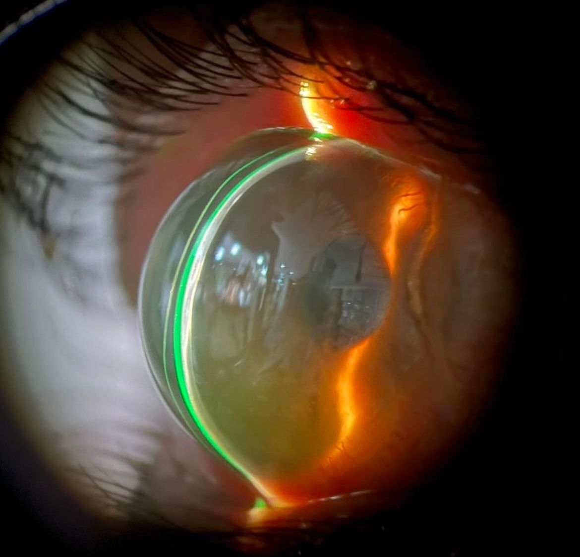 Omar Flores Cárdenas-6