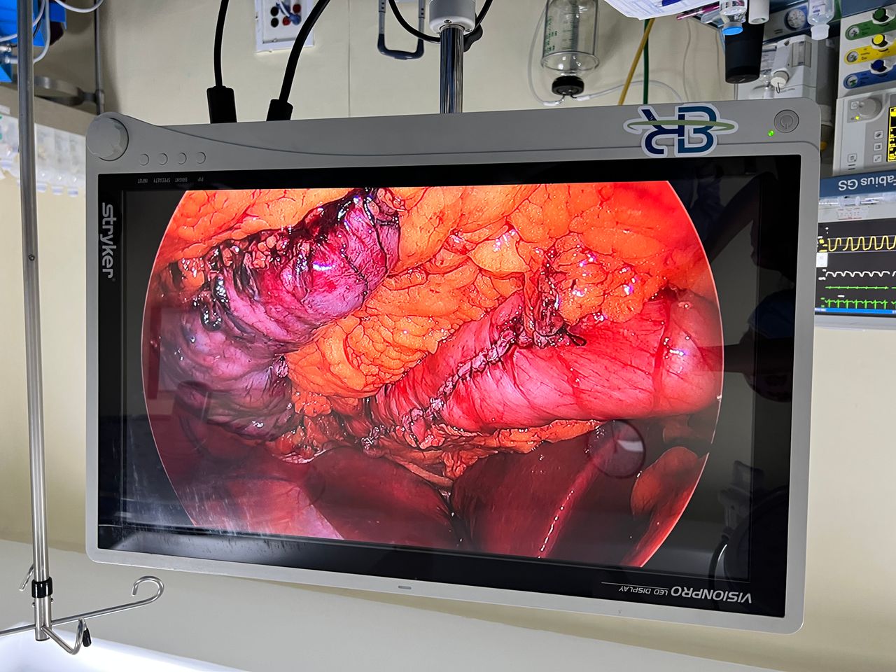 Manuel Alejandro Meza Jasso-7