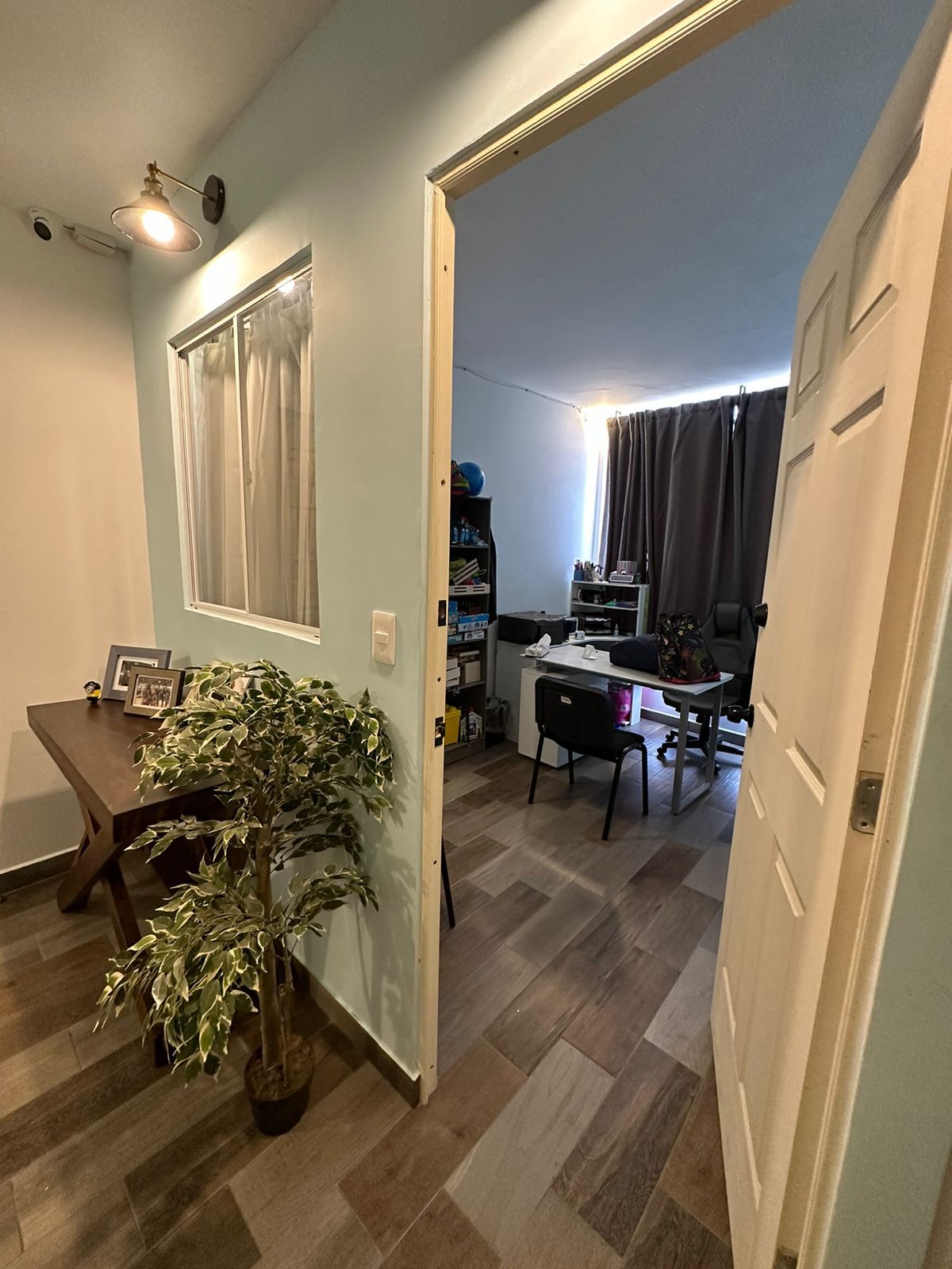 Fernando Pelaez Castañeda-8