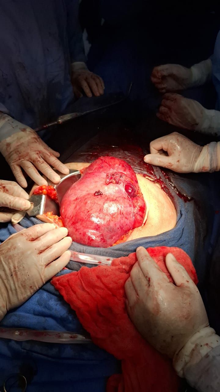 Abel Enríquez Vázquez-0