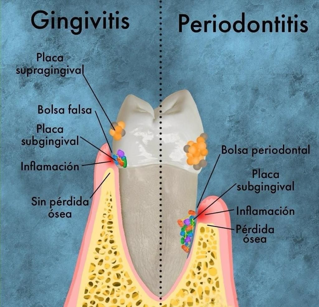Nubia Jessica Rodríguez  Gutiérrez-5