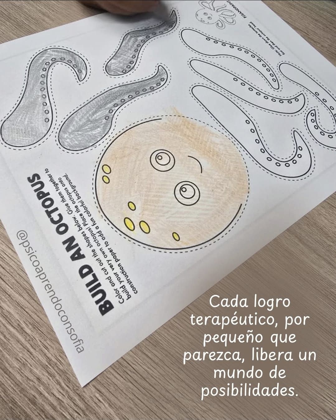 Paula Sofia Torres Orozco-1