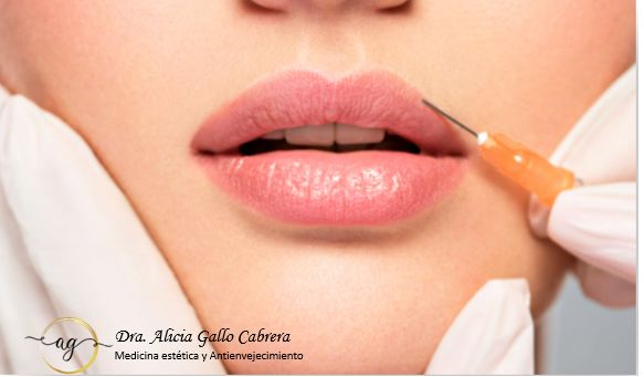 Alicia Gallo Cabrera-25