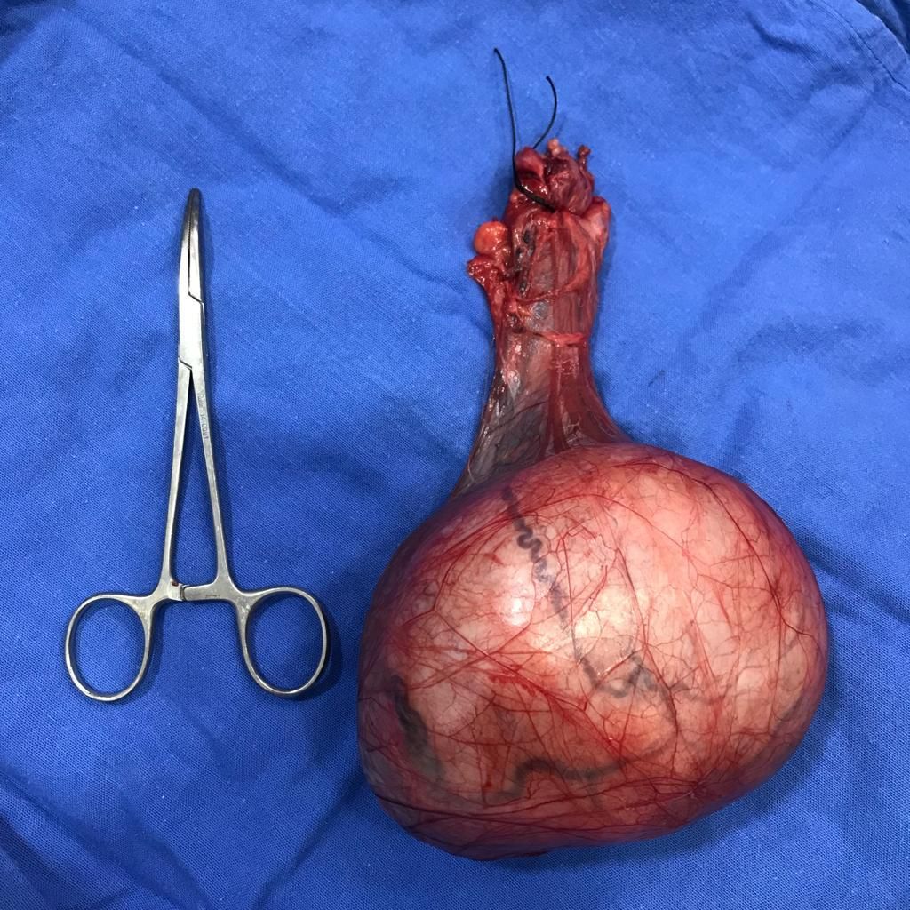 Marco Antonio Sillas Martínez-5