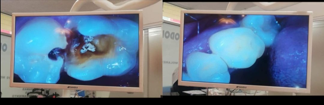 Stephanie Haydee Solis Carranco-0