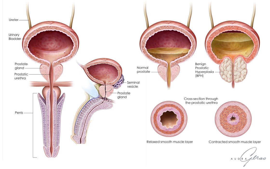 Mauricio Cantellano Orozco-22