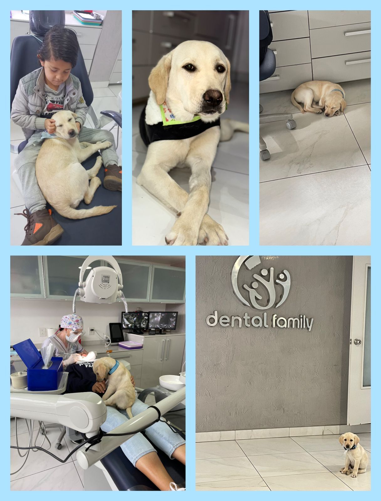 Lizbeth Rodríguez Capetillo-21