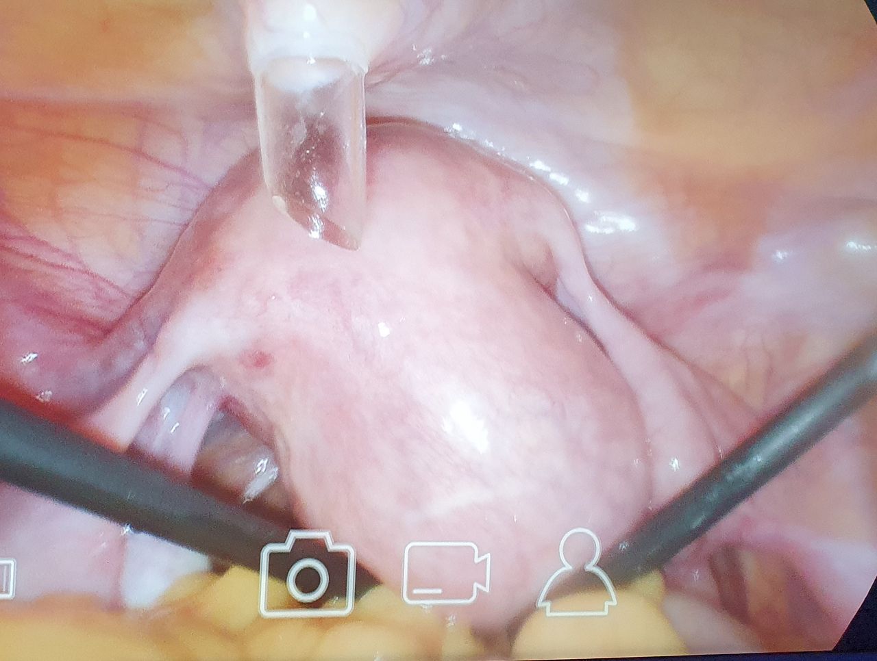 Martha Helena Cabezas Pérez-12