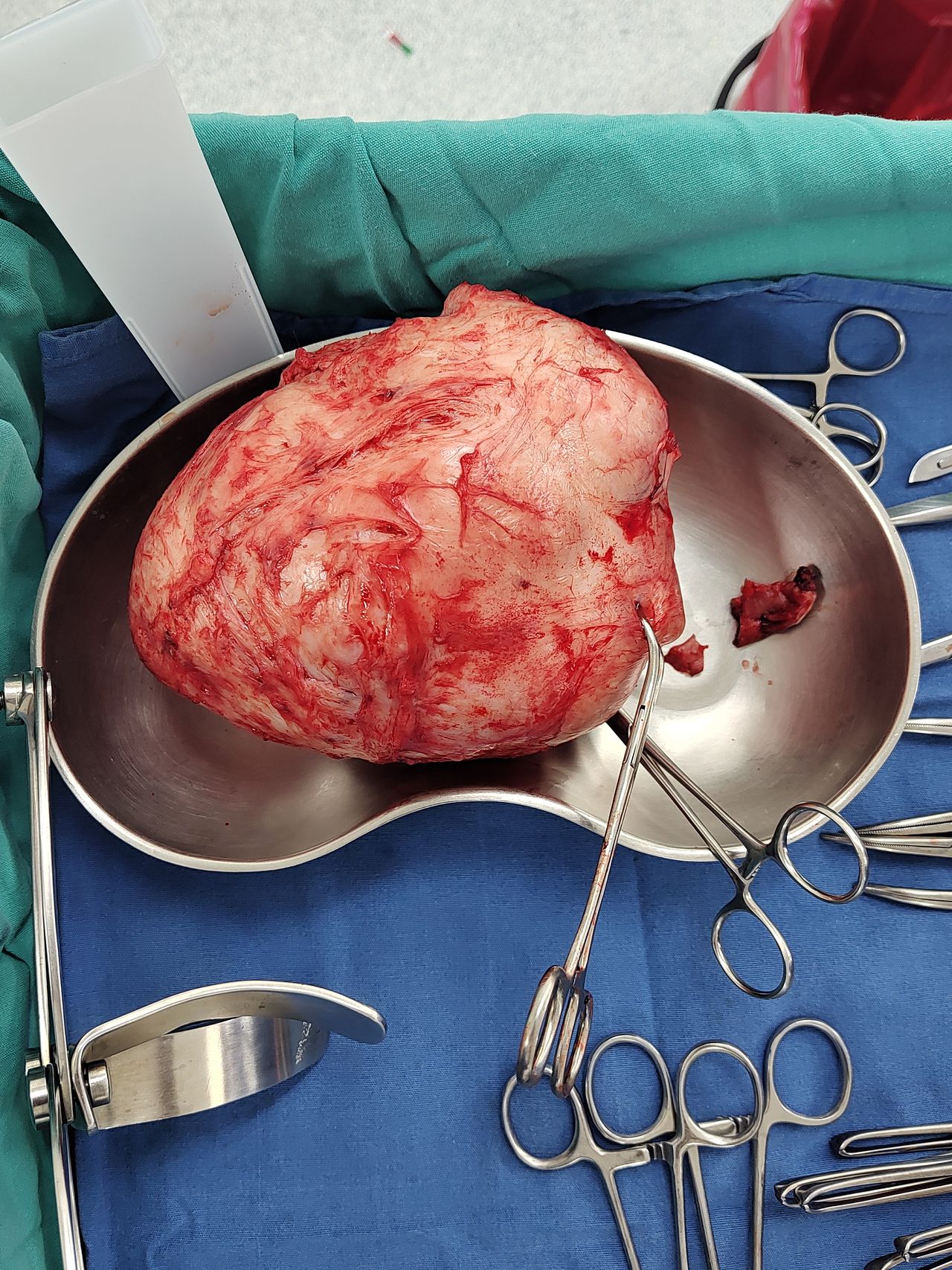 Luis Edmundo Hernández Vivar-7