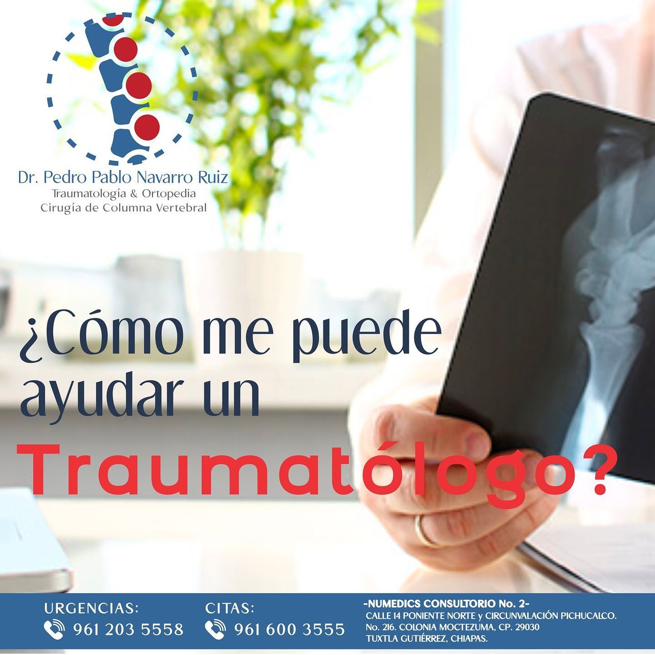 Pedro Pablo Navarro Ruiz-5