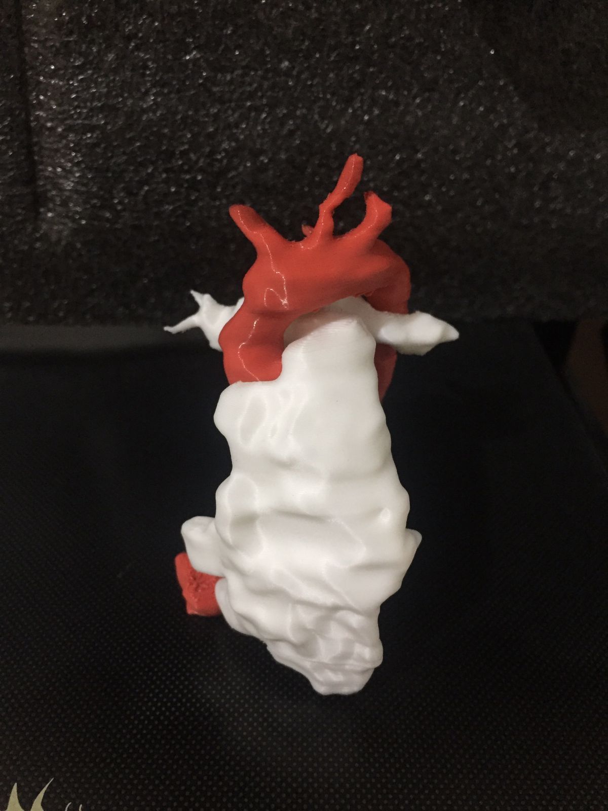 Guillermo Godoy Rábago-14