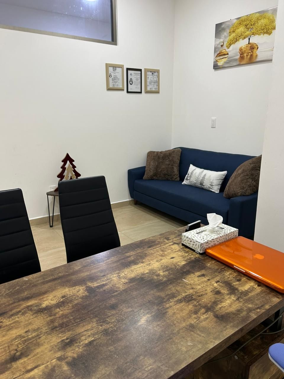 Enrique Elliot Lagunas Alarcón-3