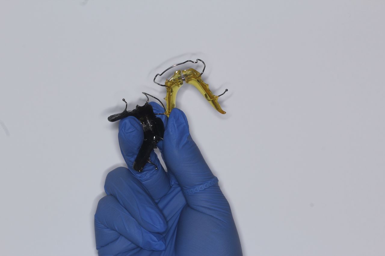 Lilia Patricia Sierra Toledo-2