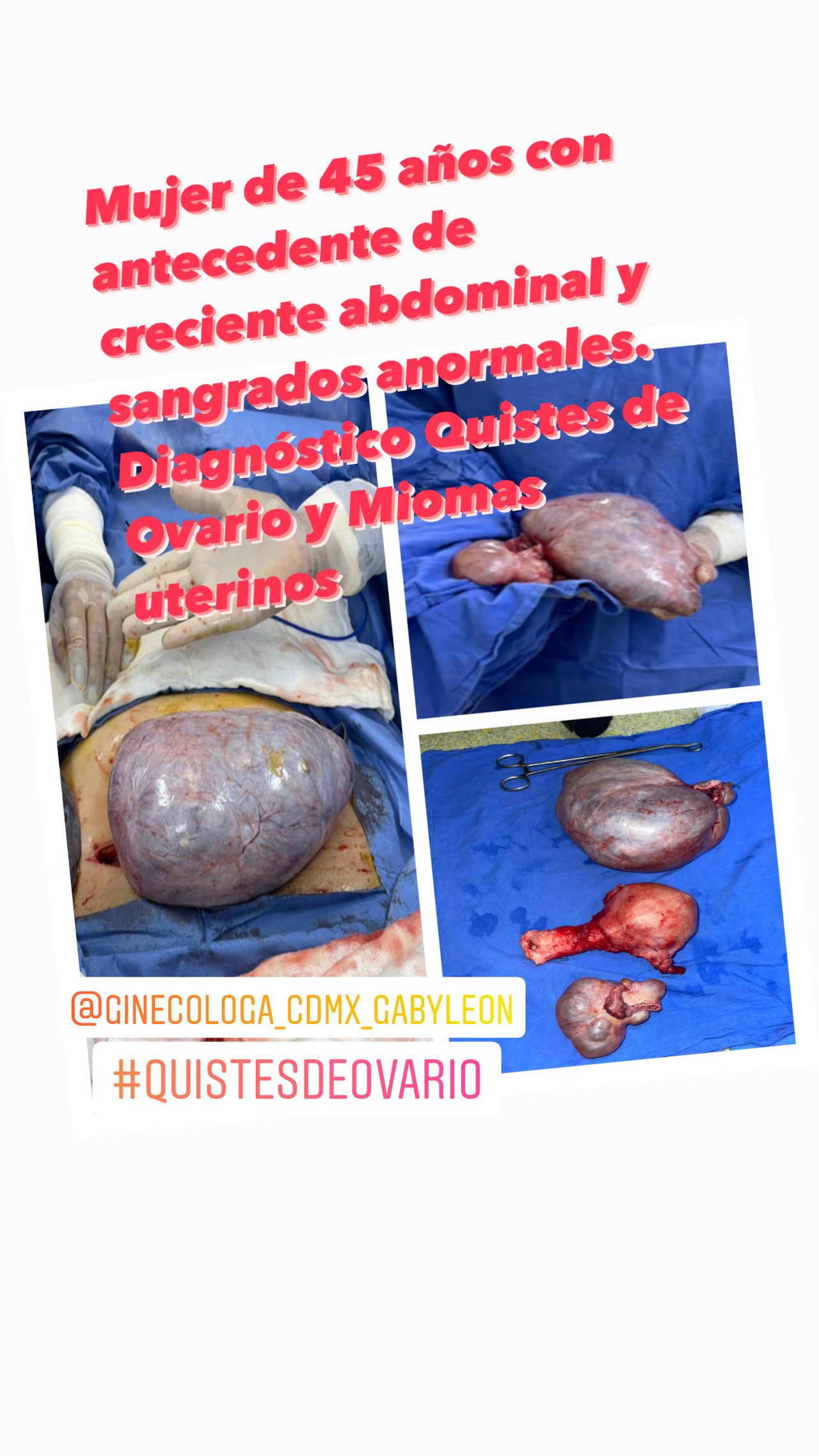 Gabriela León Flores-9