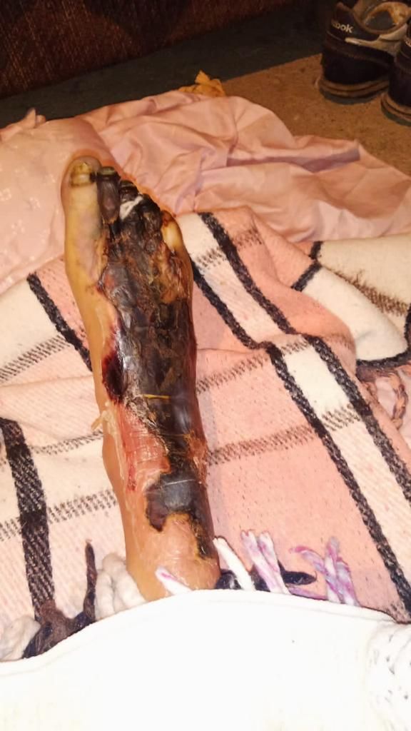 Jose Alfredo Valdovinos Estrada-2