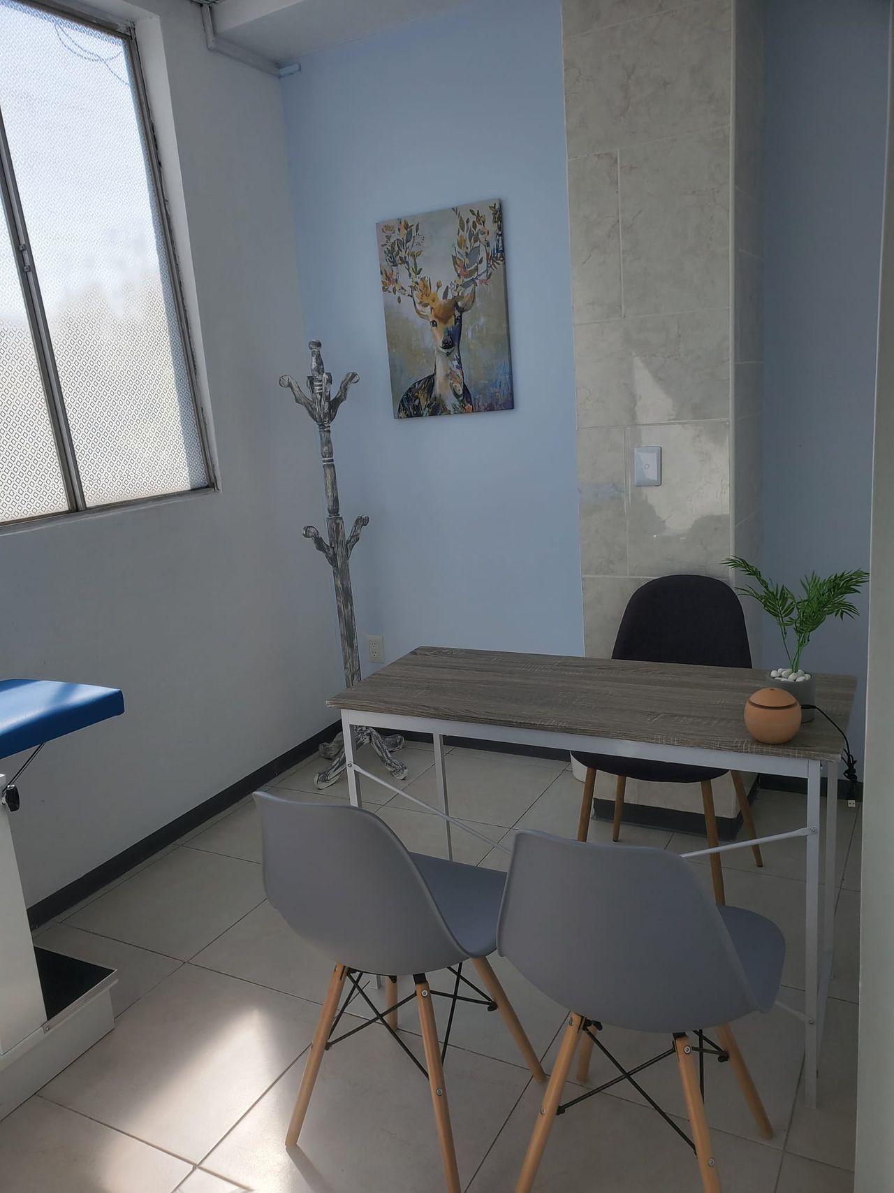 Alejandra Magaña Navarro-9