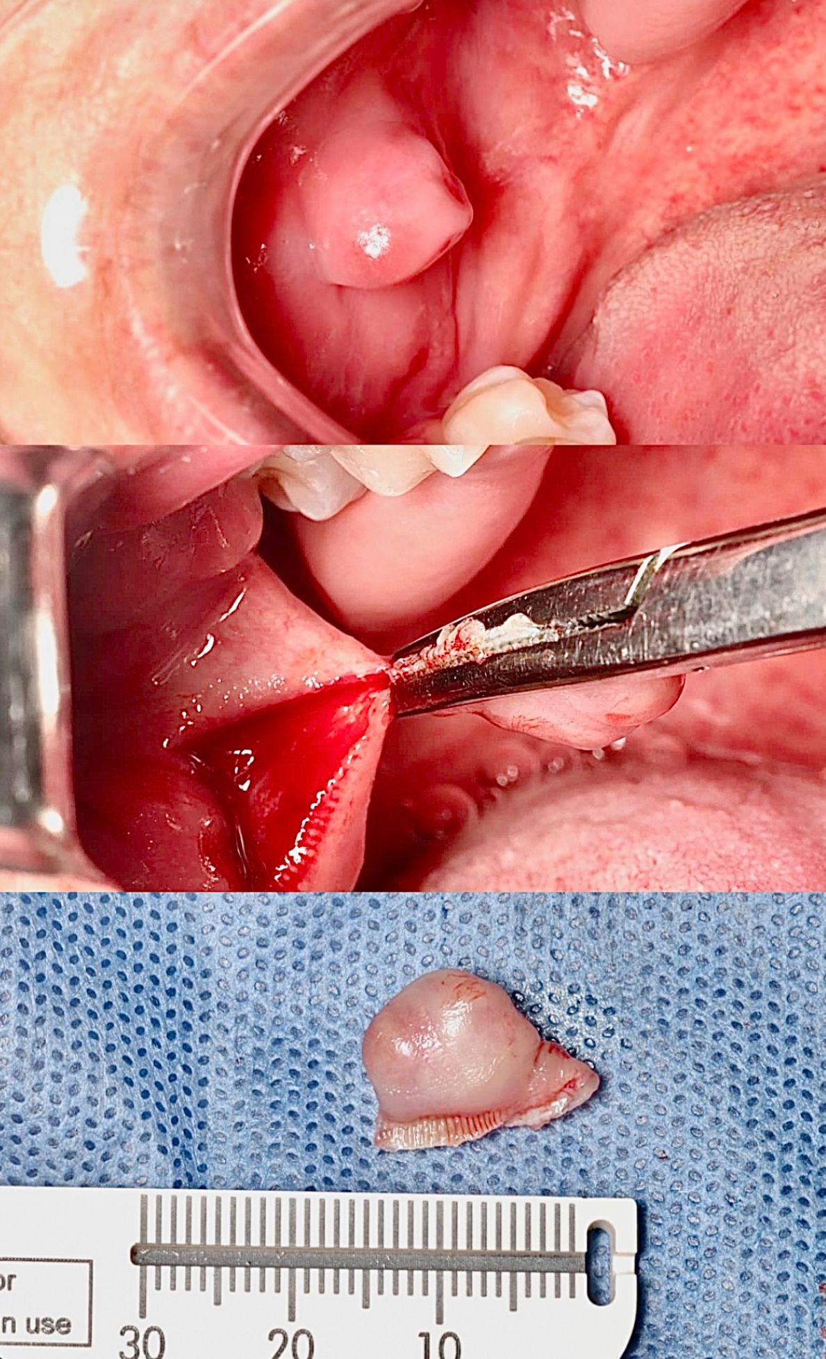 Ulises Alvarado Rodríguez-9