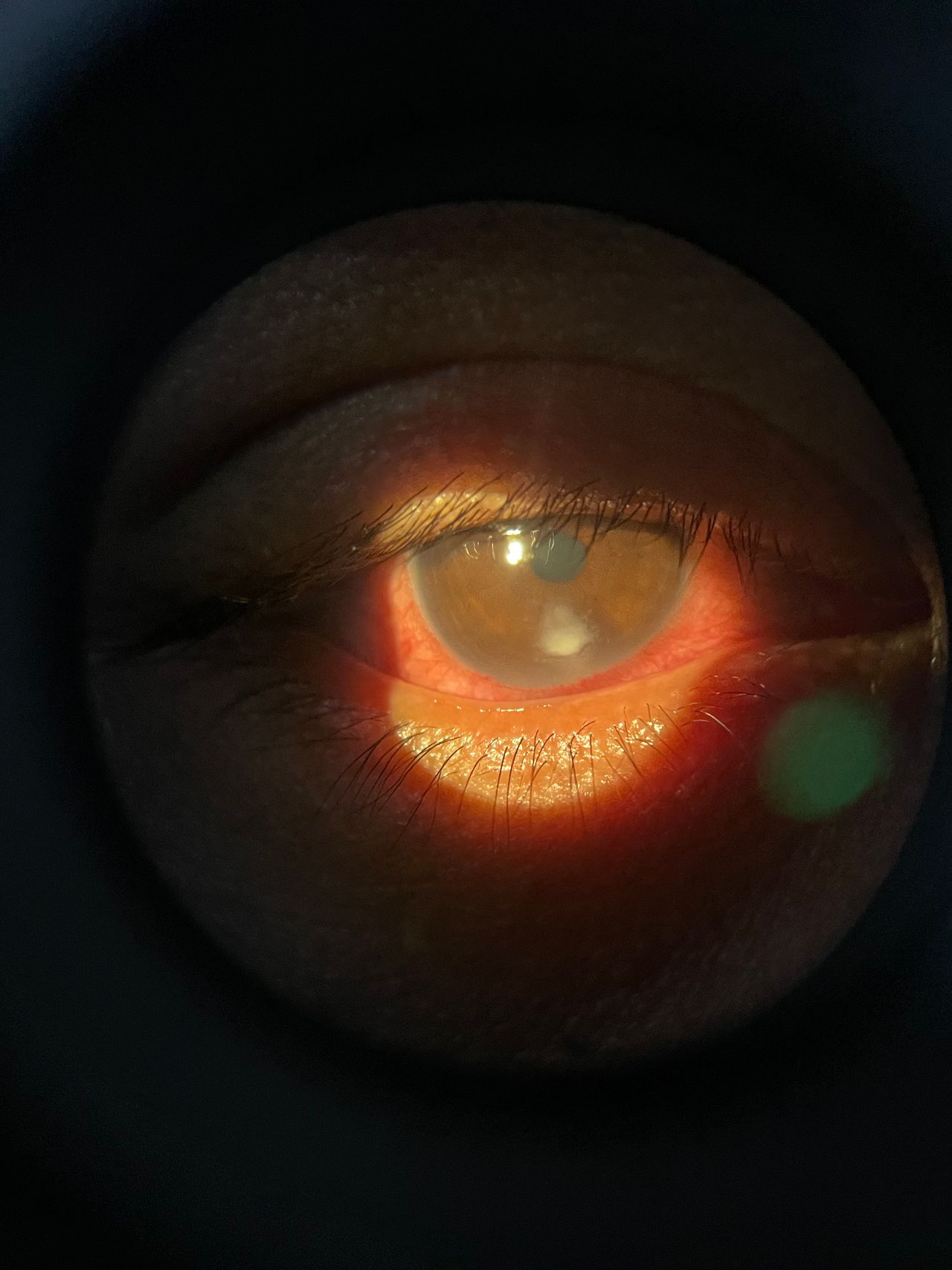 Anneé Miranda Carracedo-0