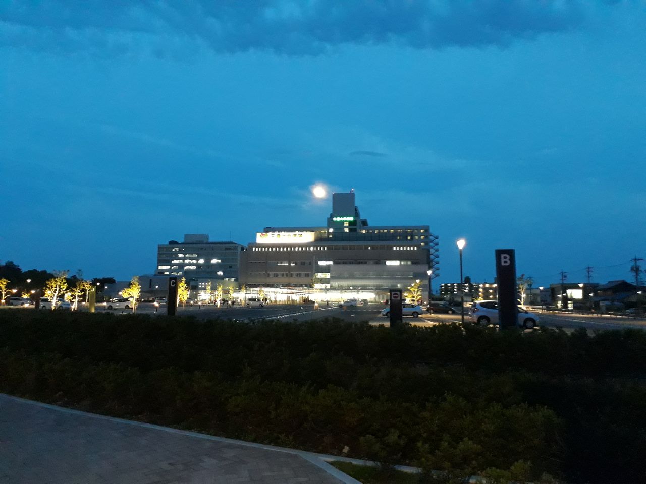 Felix Guillermo Estrada Alonso-16