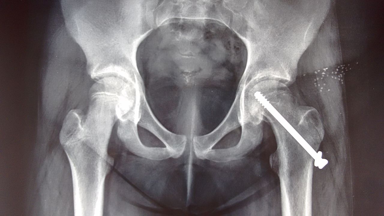 Diego Manuel Rodríguez López-2