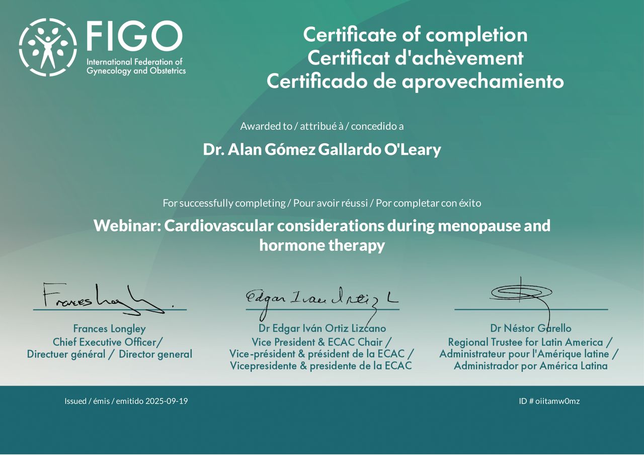 Jorge Alan Gómez Gallardo O'leary-7