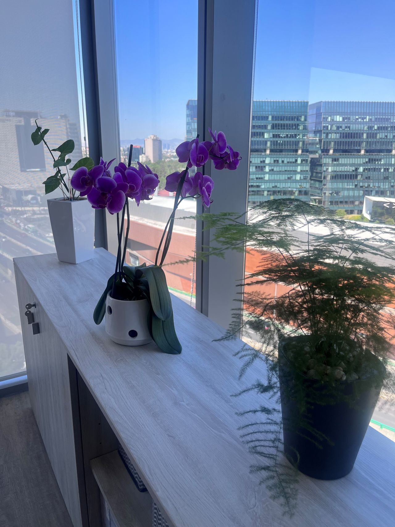 Adriana Elizabeth Arceo Caballero-3