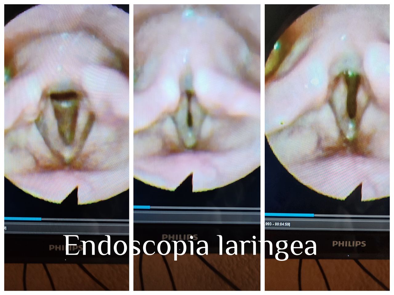 Rodrigo Castro Martínez-5