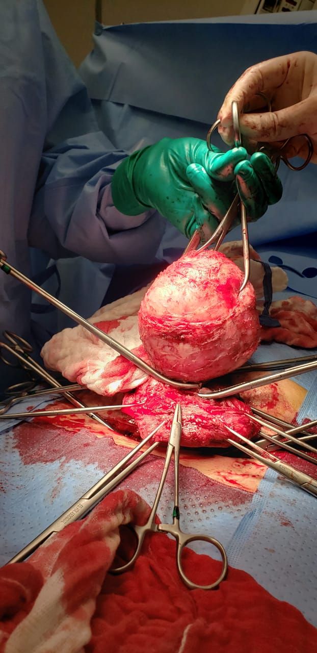 Nayeli Martínez Jaime-5