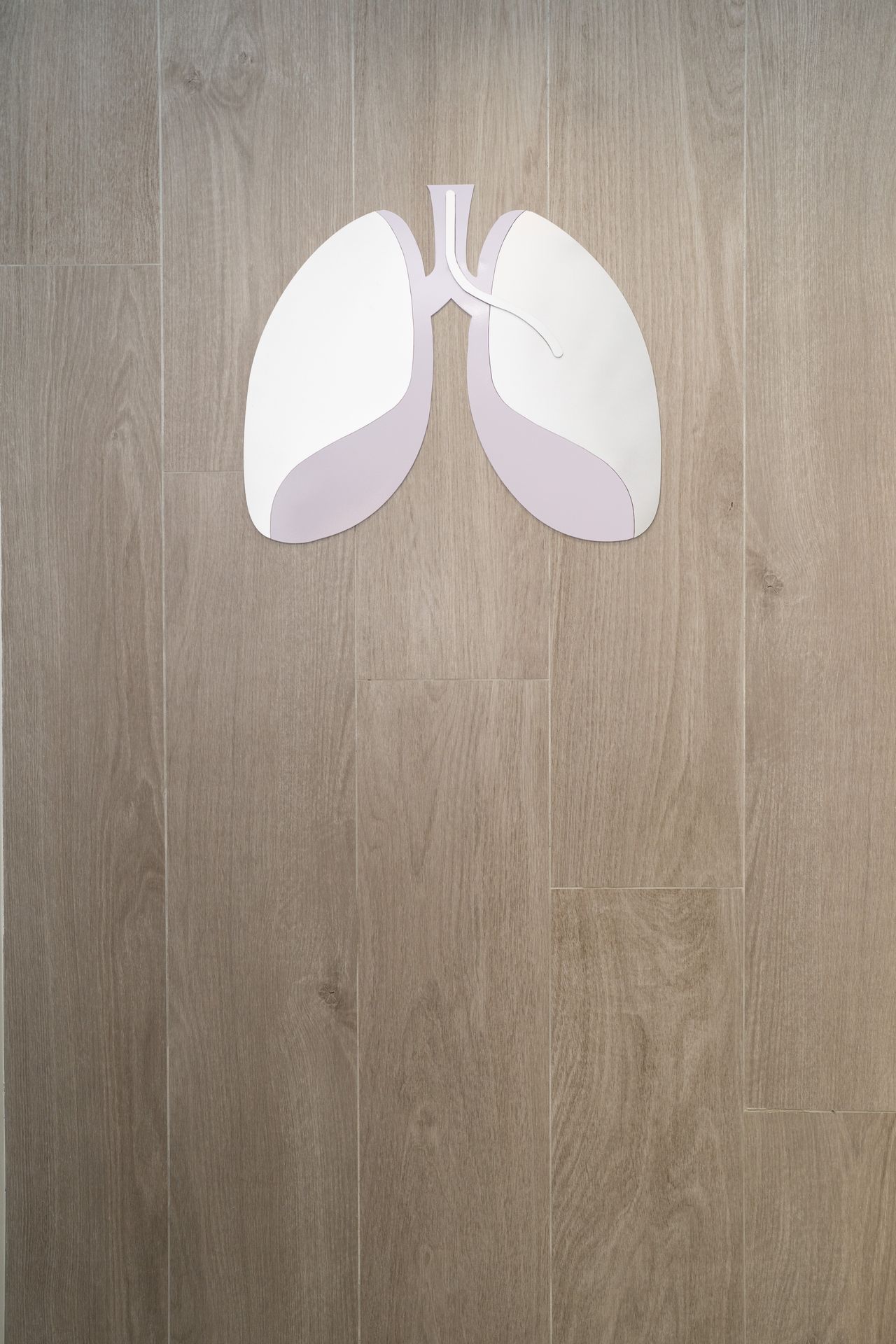 Viridiana De La Herrán Rivas-6