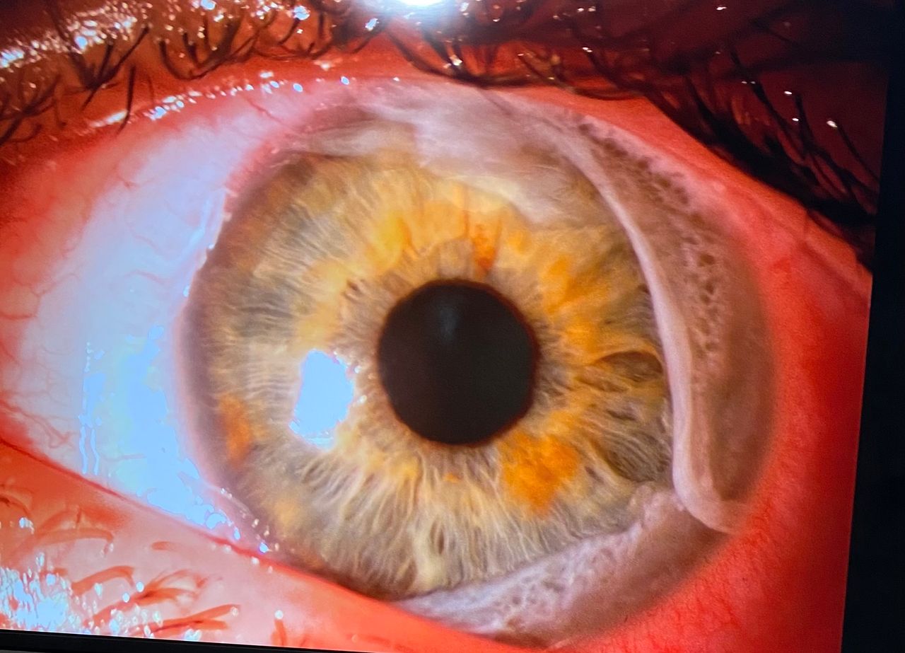 Isela Partida Pulido-11