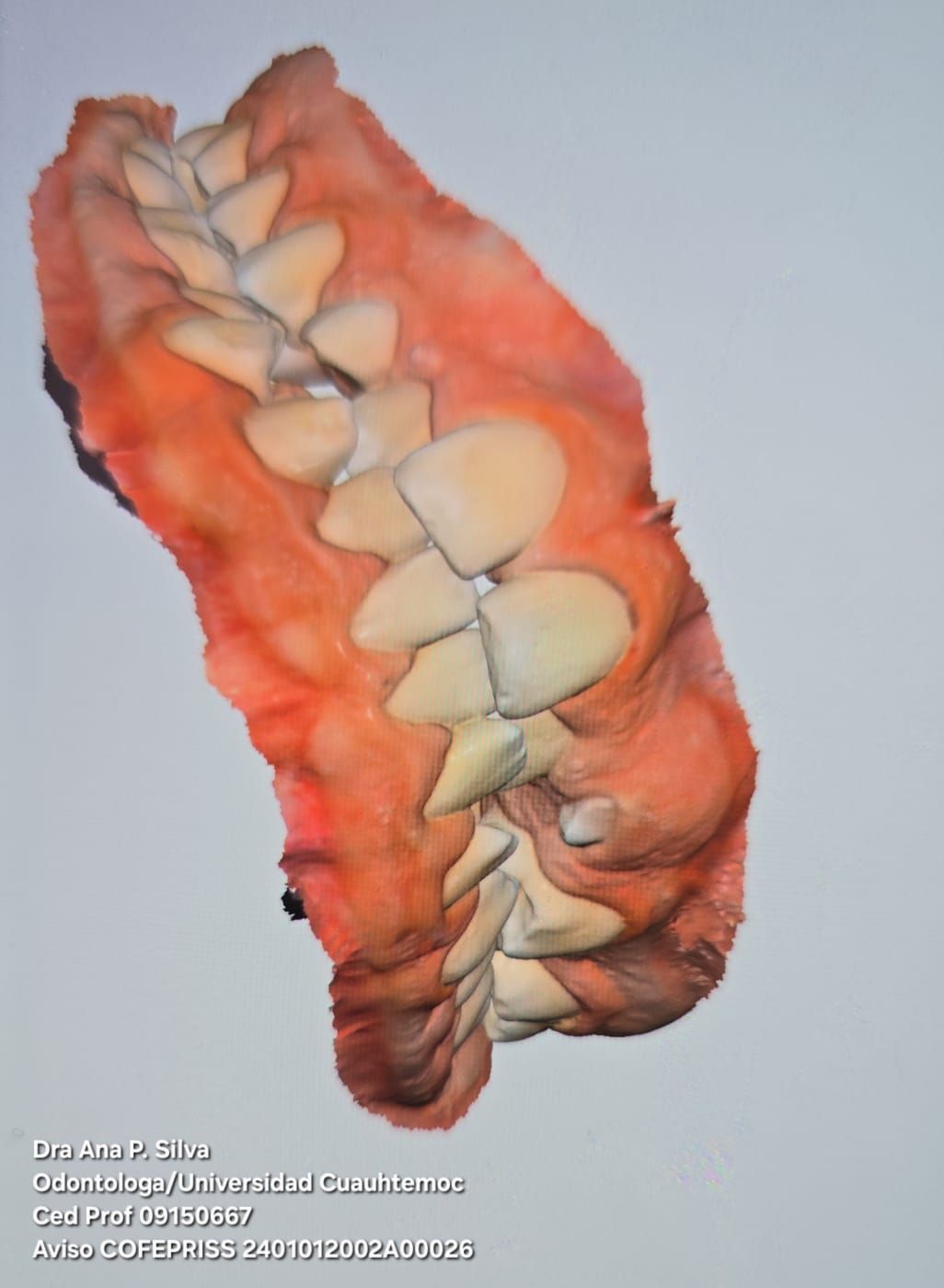 Ana Daniela Puente Silva-27