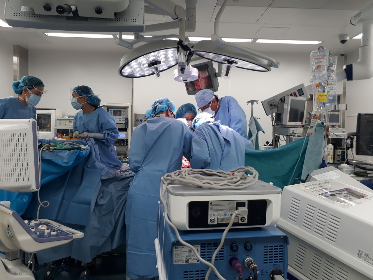 Felix Guillermo Estrada Alonso-7