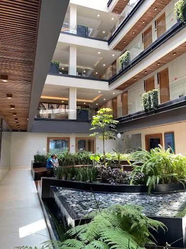 José Alberto Pacheco Osornio-2