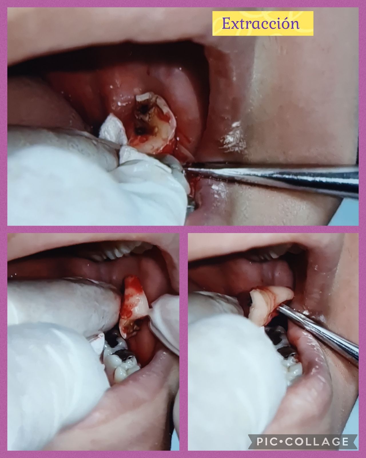 Fabiola Arcos Huesca-73