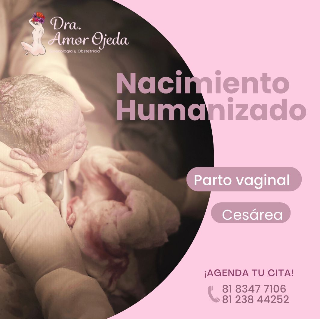 Alma Amor Ojeda Villalobos-0