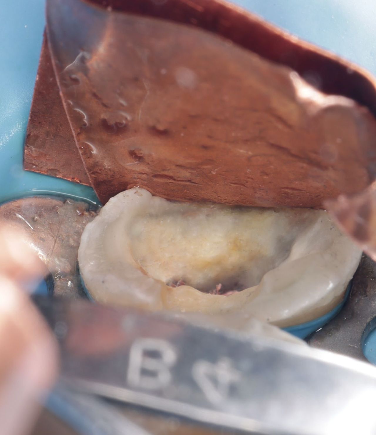 Fredy Alejandro Roblero Gónzalez-22