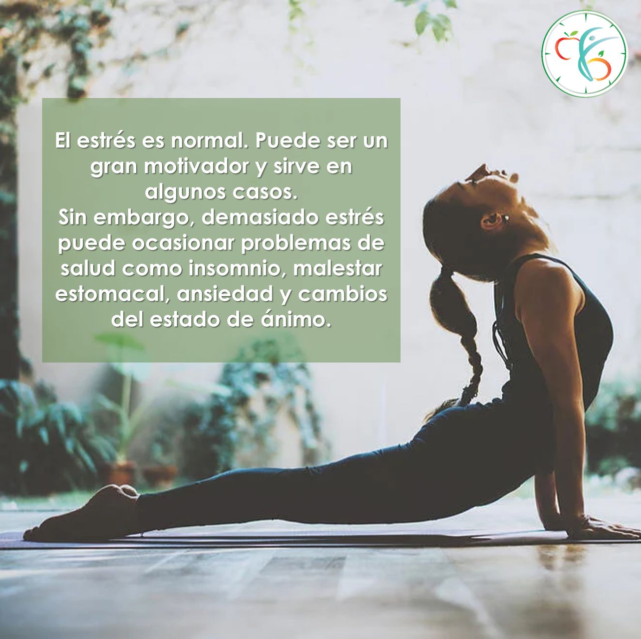 Anaid Eugenia Rodríguez López-7