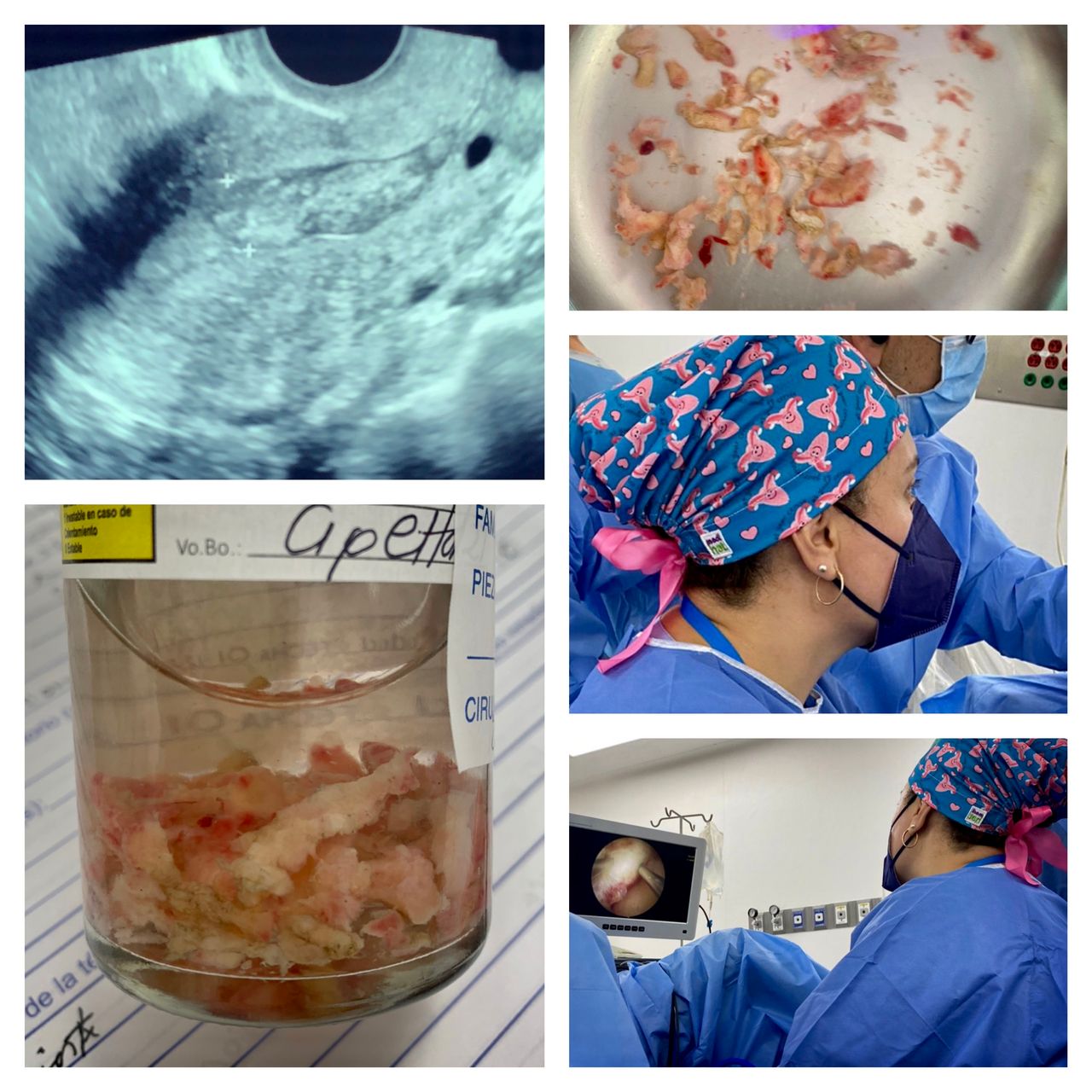 Renata Madrid Zavala-4