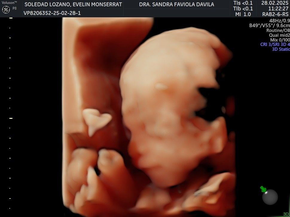 Sandra Faviola Dávila Molina-22