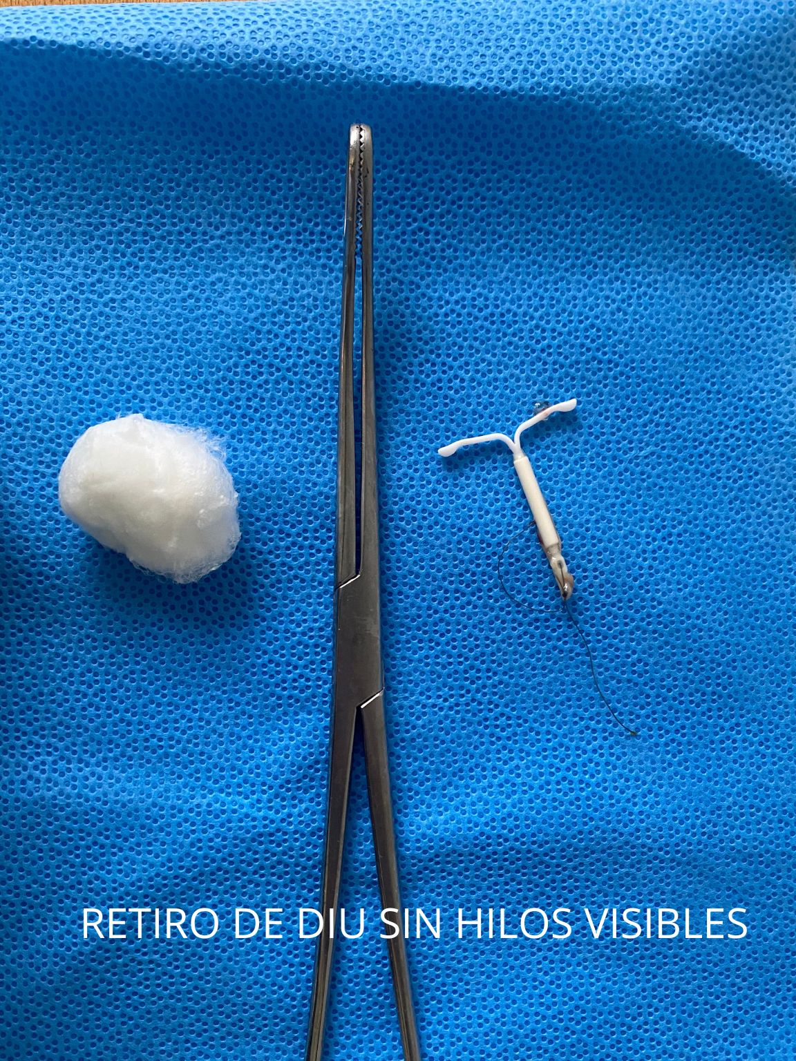 Ana Karen Castañeda Solis-6