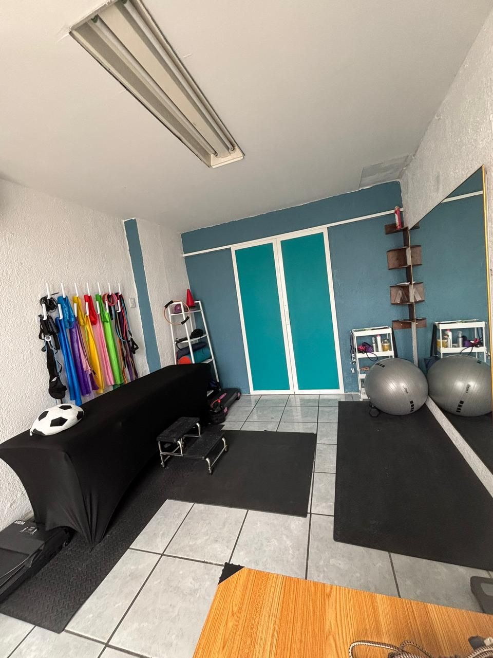 Fernanda Elorza Chavez-0