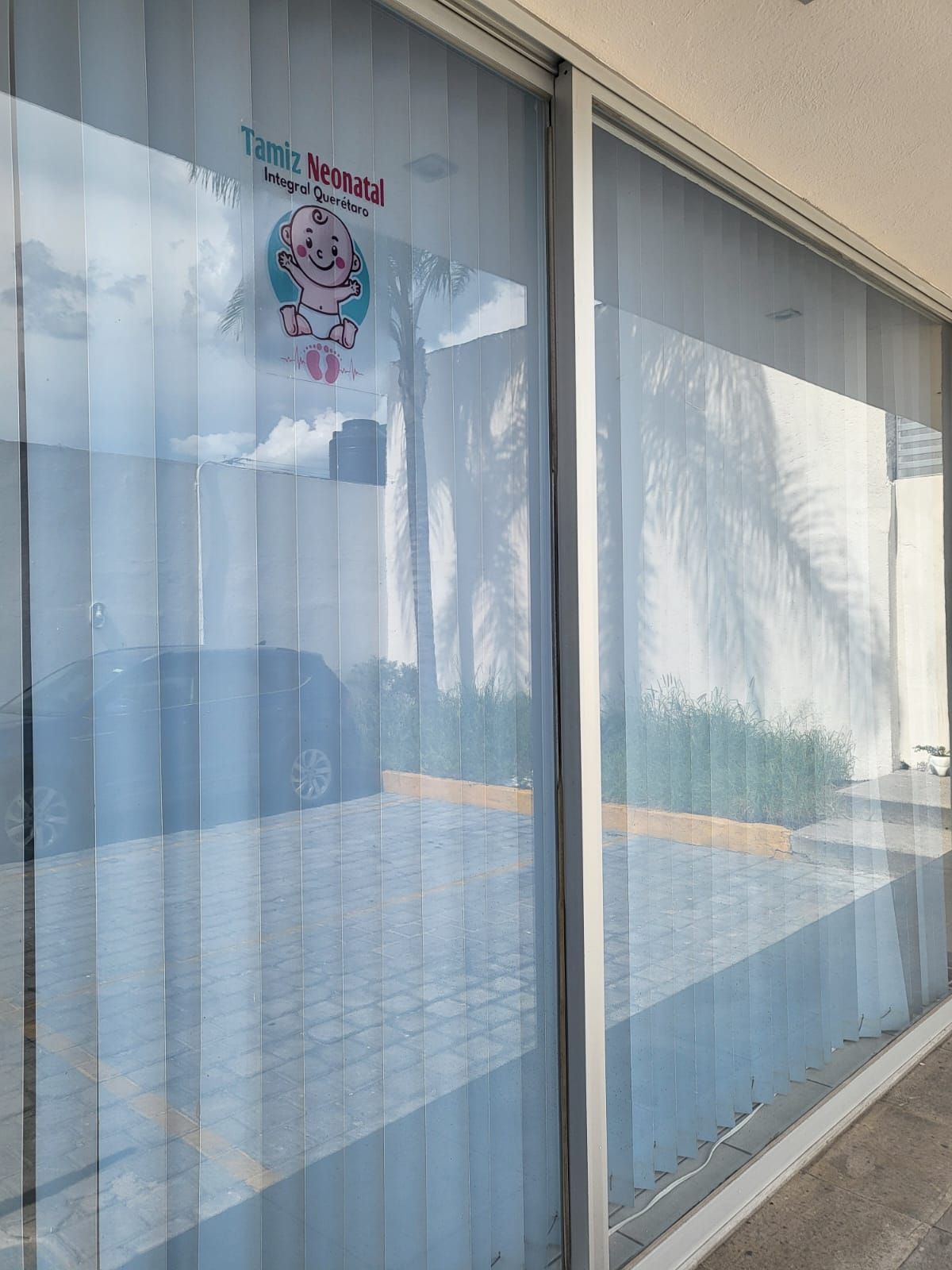 Lourdes Galindo Alanis-5