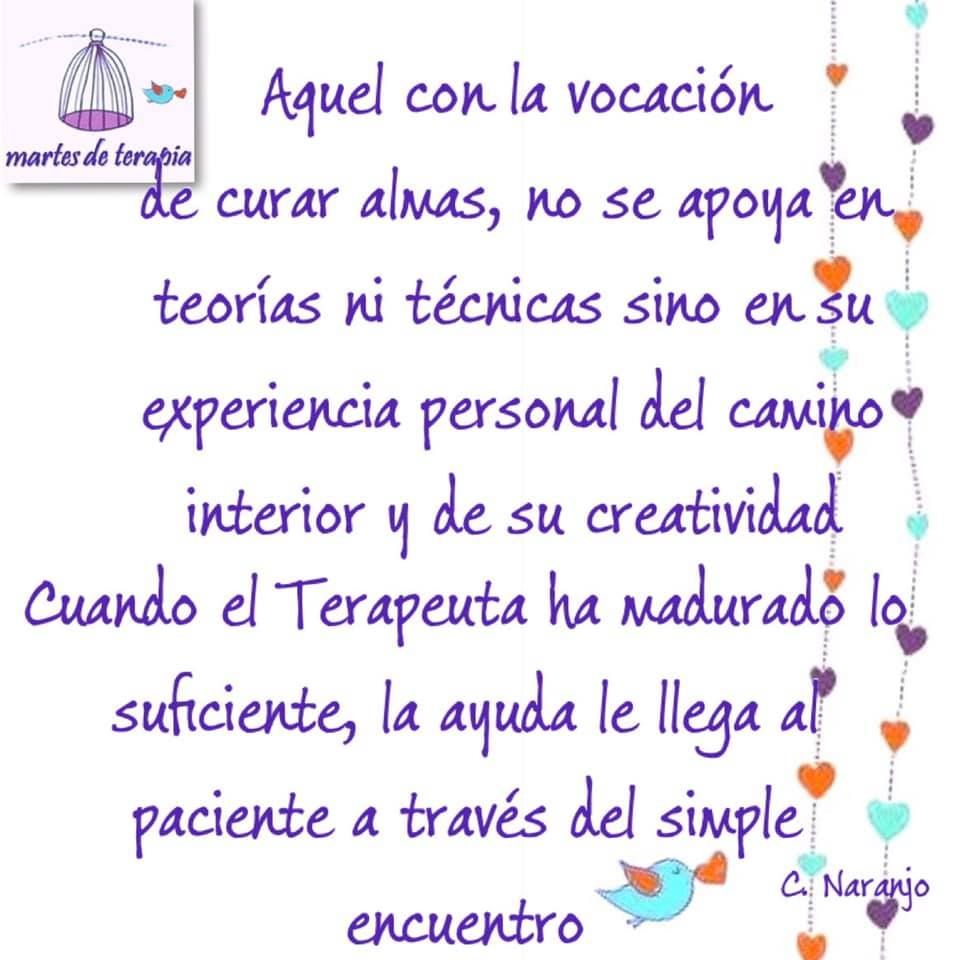 Veronica Gamboa Zabalgoitia-11