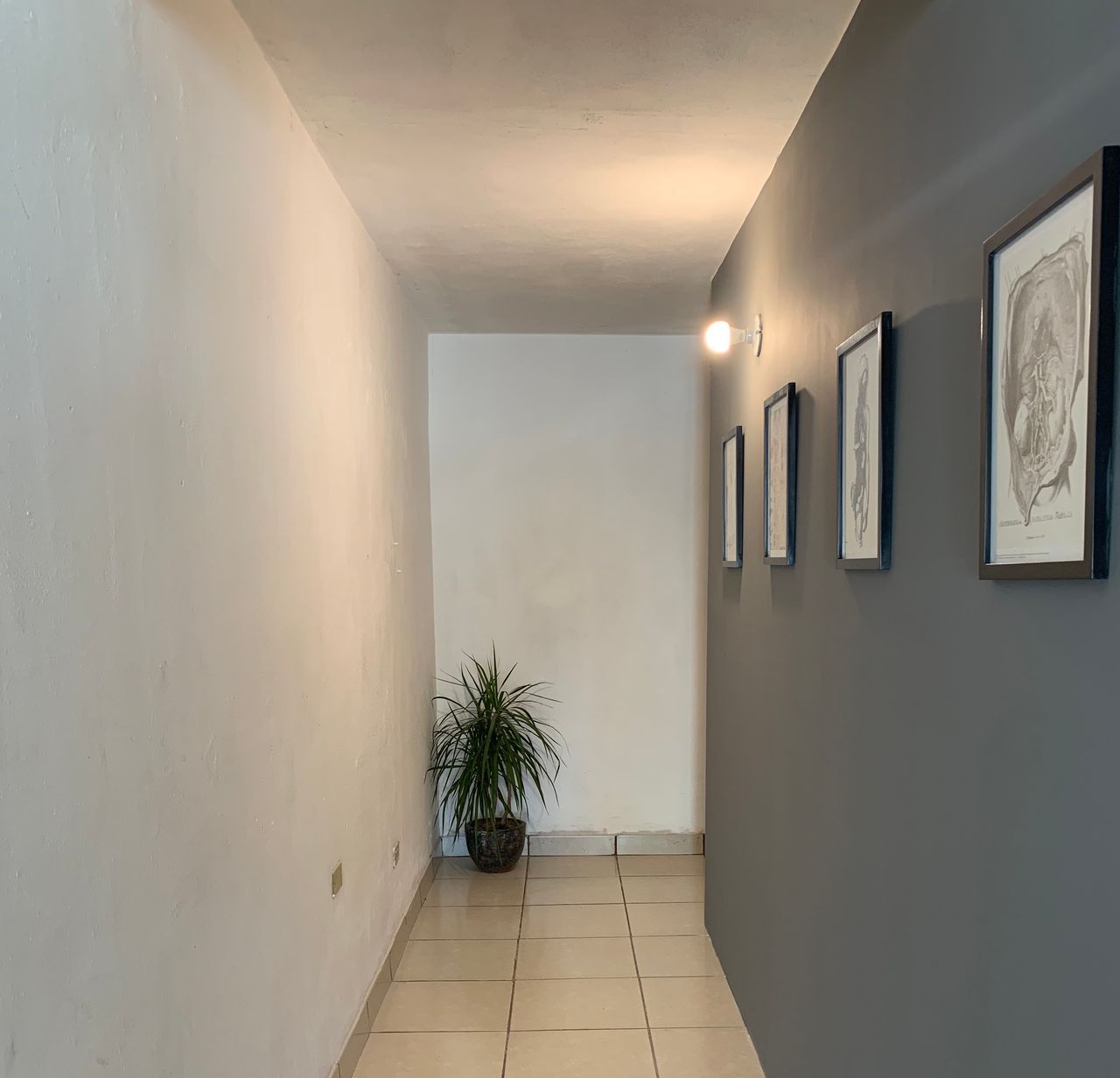 José Luis De La Torre Gastélum-9